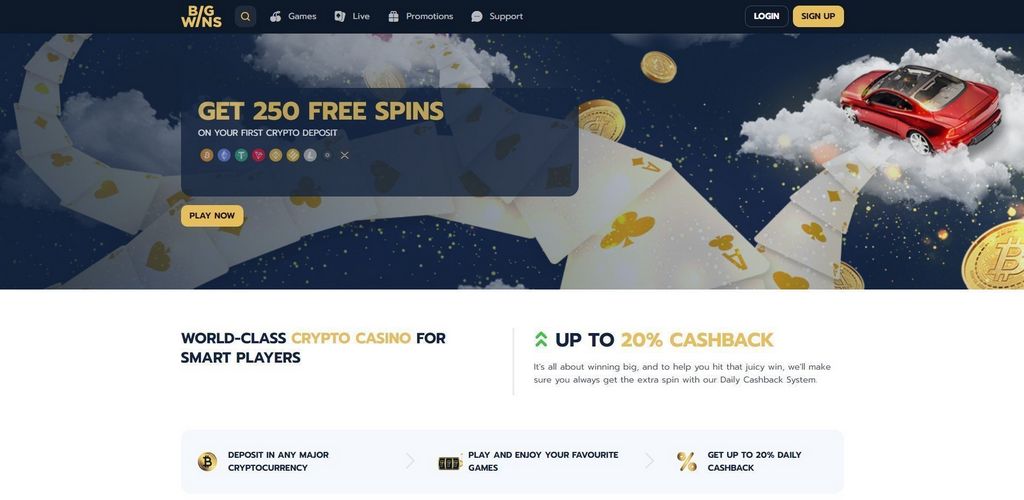 BigWins Online Casino - Check Out 3 Essential Points Before 200 Cash Rotates